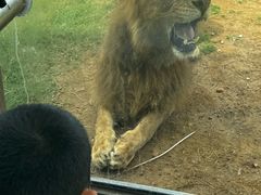 -西霞口神雕山野生动物世界