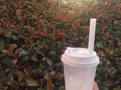 -7分甜(上海新天地广场店)