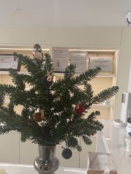 -JNK皮肤管理中心