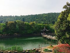 -旺山景区