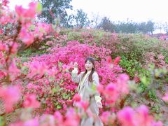 -木兰云雾山
