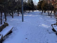 -绥化市森林植物园