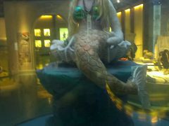 -成都泰迪熊博物馆