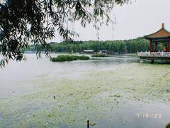 -长春市南湖公园