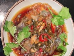 海蜇头-丰收日(五角场店)