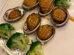 鲍鱼-外沙疍家棚酒楼