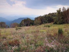 景点-白草畔自然风景区