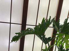 -桃夭日式料理(国信店)