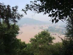 -铁山坪森林公园