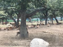 -西安秦岭野生动物园