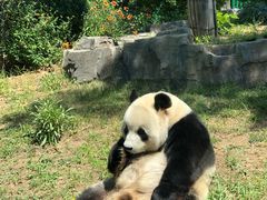 -大连森林动物园