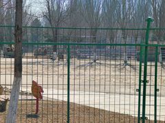 -长白岛森林公园