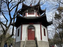 -上海佘山国家森林公园天马山园