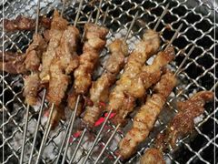 -瓦房店活羊大串(锦绣店)