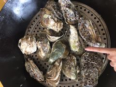桑拿蚝-蚝专家(北滘店)
