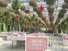 -常州花鸟园酒店(西太湖品牌优选店)