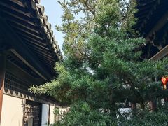 -常熟方塔园