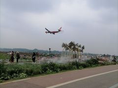 -空港花田景区