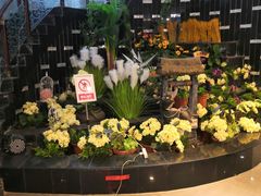 -龙景轩大酒店(宝杨路店)