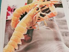 -黑松白鹿(崇文门新活馆店)