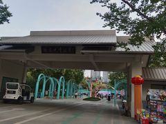 -张店儿童公园