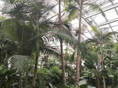 -北京植物园-展览温室