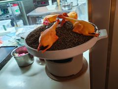 -朱记乳鸽王·非遗石岐乳鸽·全鸽宴(大兴旗舰店)