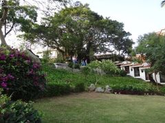 -鼓浪屿钢琴博物馆