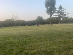 -汉长安城未央宫国家考古遗址公园