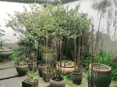 -院子餐厅·大锅菜·老杭帮(桥西直街店)