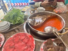 -乳仔牛牦牛汤锅 烤羊排(松潘古城店)