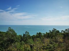 -广东惠东海龟国家级自然保护区