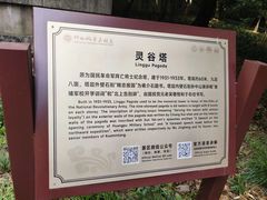 -灵谷景区
