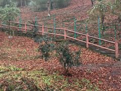 -藏龙百瀑风景区