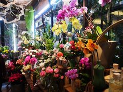 -% Arabica阿拉比卡咖啡(武康路店)