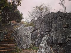 -千岛湖石林