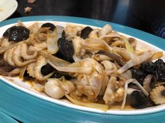 -船歌·鱼水饺青岛菜(合肥路永旺店)