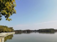 -海珠湖公园