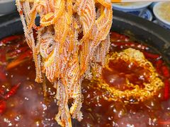 -蜀大侠火锅(总府路店)