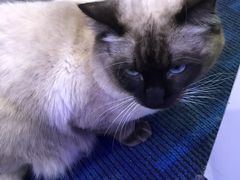 -小象猛犸(炫地购物中心店)
