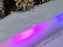 -世界之窗阿尔卑斯冰雪世界