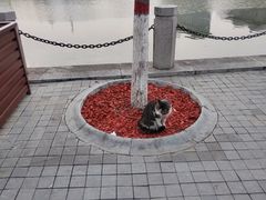 -迎泽公园