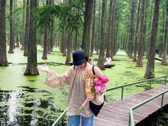 -渌洋湖湿地公园