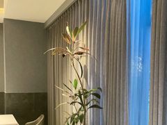 -湘满甲·黄焖甲鱼创始者·湘菜·鲁菜(潘家园店)