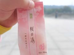 -江城杨公子·湖北武汉手信特产(户部巷店)