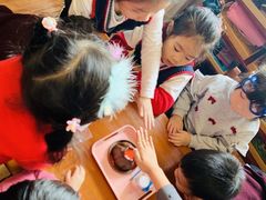 -伊顿幼儿园(济南大地锐城校区)