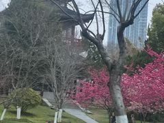 -堤角公园
