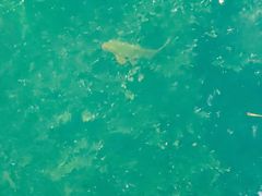 -祁门牯牛降观音堂风景区