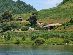 -河口景区