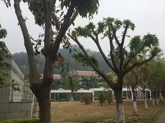 -厦门国家会计学院